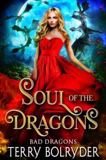 Soul of the Dragons: Bad Dragons Read online