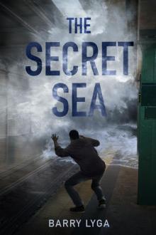 The Secret Sea Read online