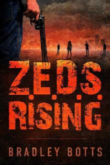 Z.E.D.S. Series (Book 1): Z.E.D.S. Rising Read online