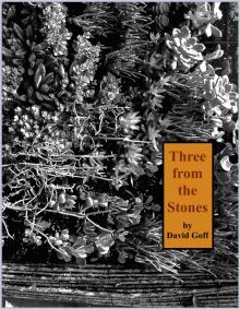Three from the Stones Read online