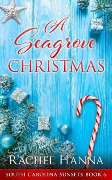 A Seagrove Christmas (South Carolina Sunsets Book 6) Read online