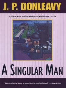 A Singular Man Read online