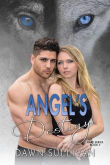 Angel's Destiny Read online