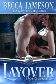 Layover (Open Skies Book 1) Read online