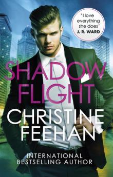 Shadow Flight (The Shadow Series) Read online