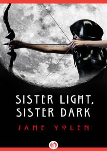 Sister Light, Sister Dark Read online