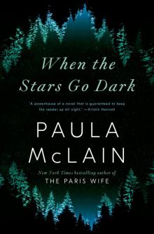 When the Stars Go Dark: A Novel Read online