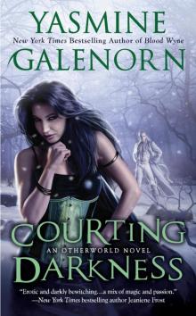 Courting Darkness Read online