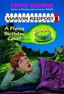 A Flying Birthday Cake? Read online