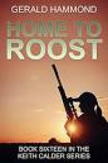 Home to Roost Read online