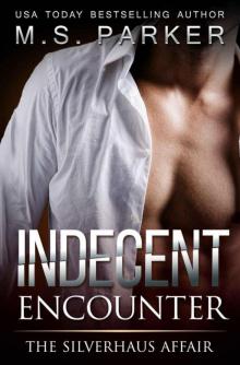 Indecent Encounter: The Silverhaus Affair Read online