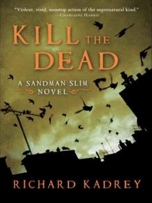 Kill the Dead Read online