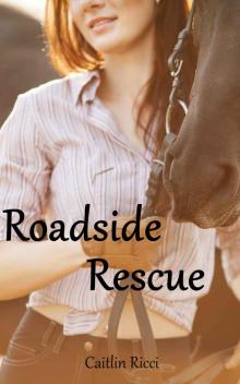 Roadside Rescue Read online