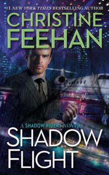 Shadow Flight Read online