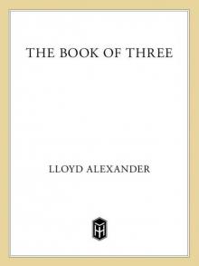 The Book of Three Read online