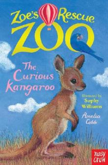 The Curious Kangaroo Read online