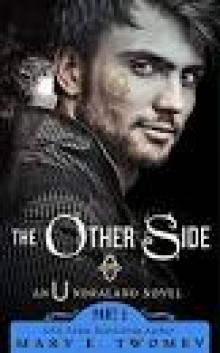 The Other Side: A Fantasy Adventure (Undraland Book 5) Read online