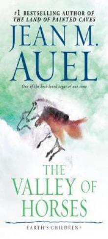 The Valley of Horses Read online