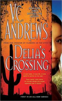 Delia's Crossing Read online