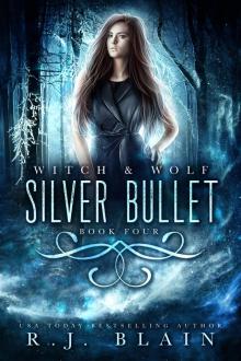 Silver Bullet Read online