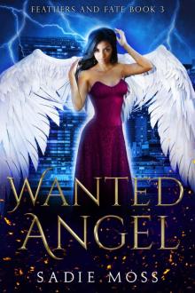 Wanted Angel: A Reverse Harem Paranormal Romance (Feathers and Fate Book 3) Read online