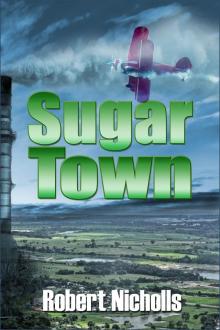 Sugar Town Read online