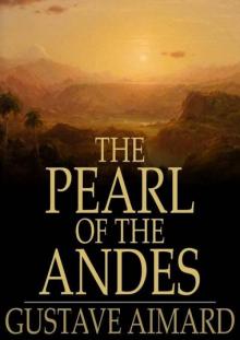 The Pearl of the Andes: A Tale of Love and Adventure Read online