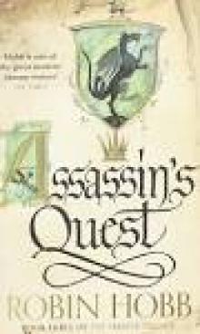 Assassin's Quest (UK) Read online