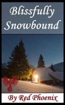 Blissfully Snowbound (Blissful, #1) Read online