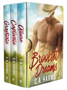 Brooklet Dreams Series Read online
