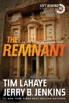 The Remnant: On the Brink of Armageddon Read online
