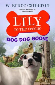 Lily to the Rescue: Dog Dog Goose Read online