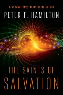 The Saints of Salvation Read online
