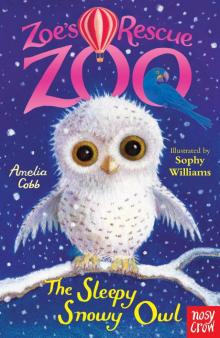 The Sleepy Snowy Owl Read online