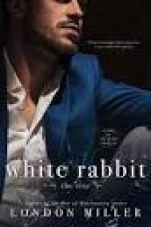 White Rabbit: The Rise (The Kingmaker Saga Book 1) Read online
