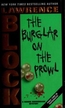 The Burglar on the Prowl Read online