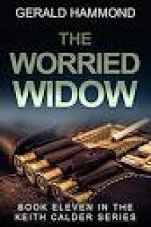 The Worried Widow Read online