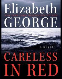 Careless in Red Read online