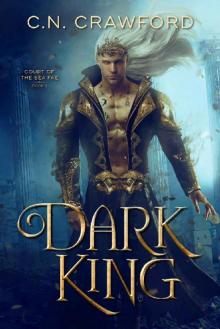 Dark King Read online