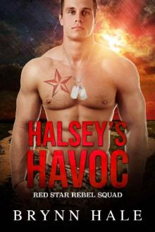 Halsey's Havoc Read online