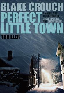 Perfect Little Town Read online