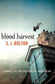 S. J. Bolton Read online