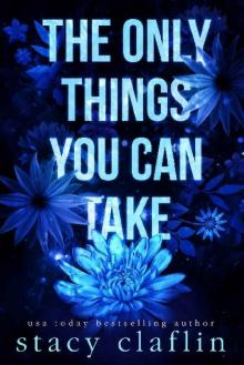 The Only Things You Can Take (Wildflower Romance #2) Read online