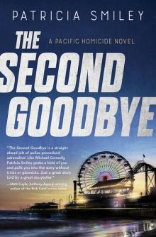 The Second Goodbye Read online