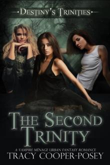 The Second Trinity Read online