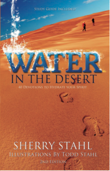 The Guide of the Desert Read online