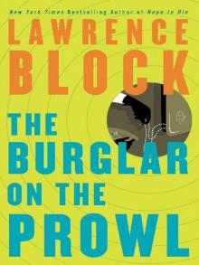 Burglar on the Prowl Read online