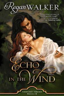 Echo in the Wind Read online