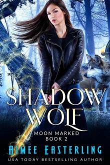 Shadow Wolf Read online