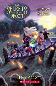 The Moon Scroll (The Secrets of Droon #15) Read online